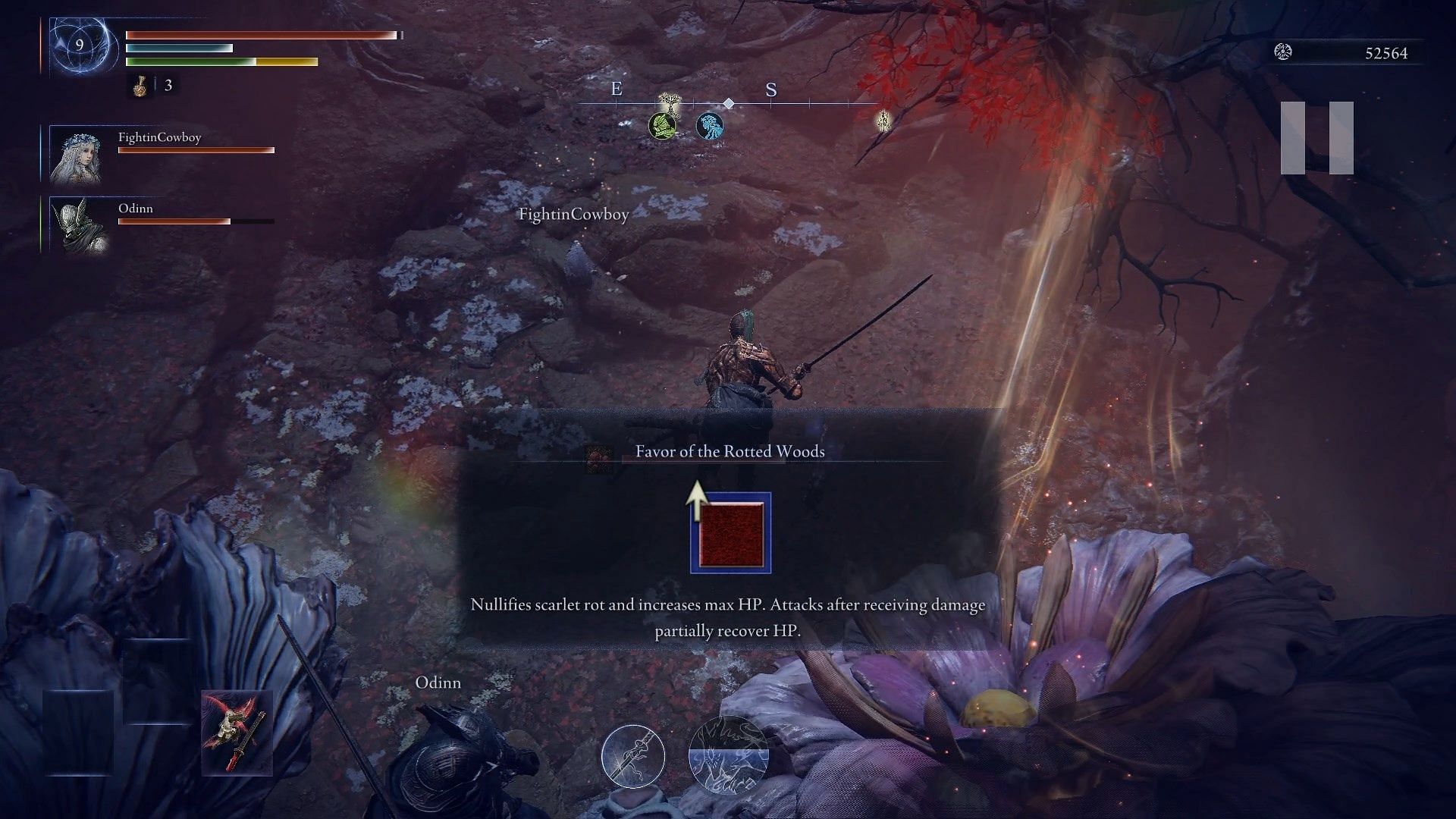 The Favor of the Rotted Woods (Image via FromSoftware)
